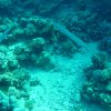 marsa2009 59